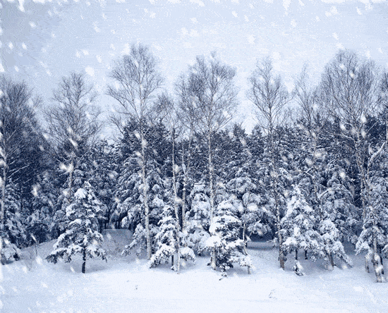 风雪救援荆棘路 情系群众暖人心