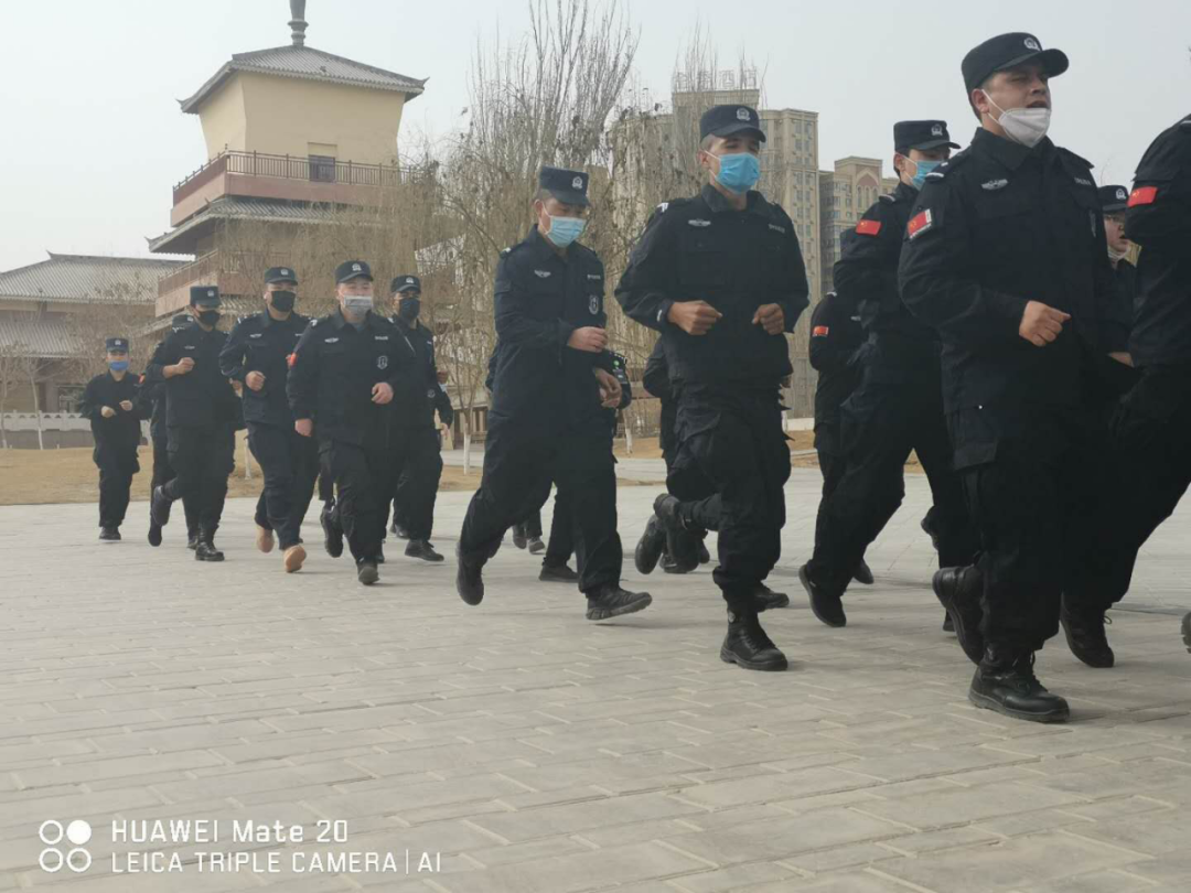 樱花树下的小权