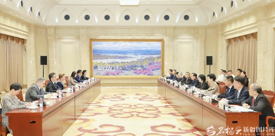 陈小江艾尔肯·吐尼亚孜会见新开发银行行长罗塞芙